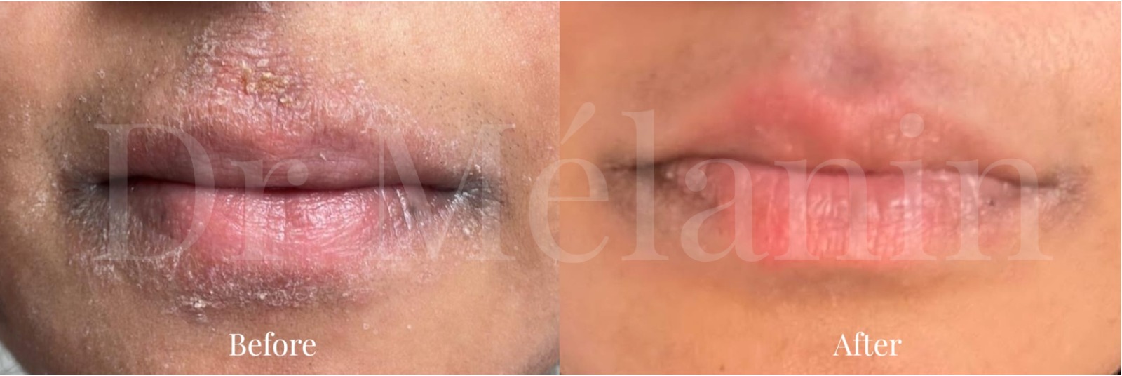 WhatsApp Image 2025-09-14 at 23.28.19